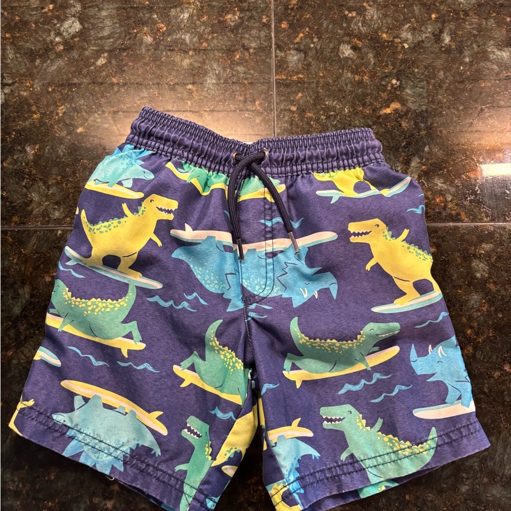Dinosaur Print Kids Swim Shorts 4T